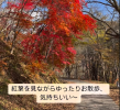 隠れた紅葉スポット　安ケ森キャンプ場の奥の山道